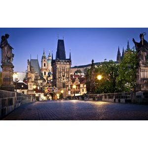 Casa si Gradina - Decoratiuni - Tablouri - Infinity.ro