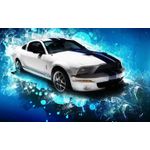 Casa si Gradina - Decoratiuni - Tablouri - Tablou canvas Auto model 112, 50x90 cm - Infinity.ro