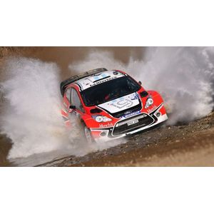 Casa si Gradina - Decoratiuni - Tablouri - Infinity.ro