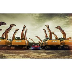 Casa si Gradina - Decoratiuni - Tablouri - Infinity.ro