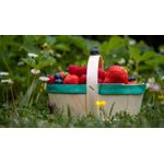 Casa si Gradina - Decoratiuni - Tablouri - Tablou canvas Mancare si Bautura model 72, 50x35 cm - Infinity.ro