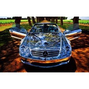 Casa si Gradina - Decoratiuni - Tablouri - Infinity.ro