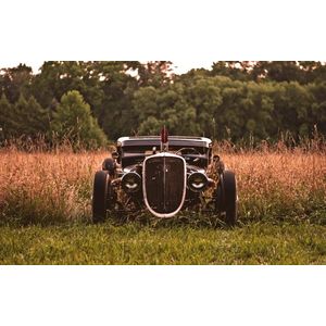 Casa si Gradina - Decoratiuni - Tablouri - Infinity.ro