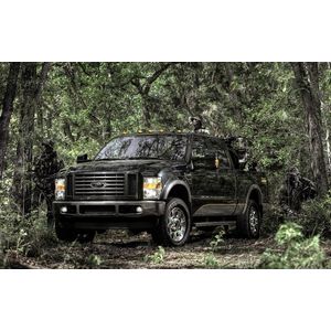 Casa si Gradina - Decoratiuni - Tablouri - Infinity.ro