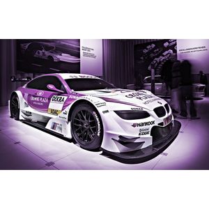 Casa si Gradina - Decoratiuni - Tablouri - Infinity.ro