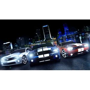 Casa si Gradina - Decoratiuni - Tablouri - Infinity.ro