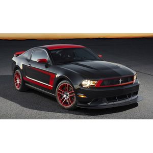 Casa si Gradina - Decoratiuni - Tablouri - Infinity.ro