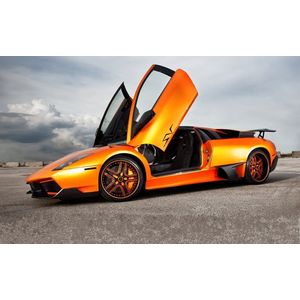 Casa si Gradina - Decoratiuni - Tablouri - Infinity.ro