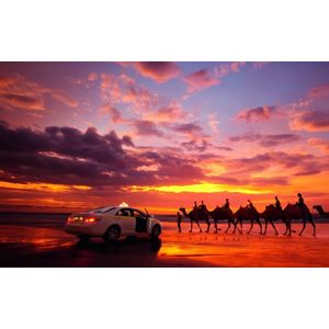 Casa si Gradina - Decoratiuni - Tablouri - Infinity.ro