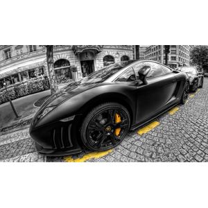 Casa si Gradina - Decoratiuni - Tablouri - Infinity.ro