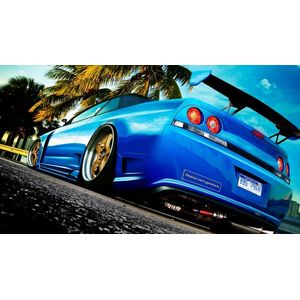 Casa si Gradina - Decoratiuni - Tablouri - Infinity.ro