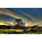 Casa si Gradina - Decoratiuni - Tablouri - Tablou canvas Peisaj 918, 20x30 cm - Infinity.ro