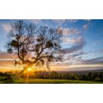 Casa si Gradina - Decoratiuni - Tablouri - Tablou canvas Peisaj 927, 20x30 cm - Infinity.ro