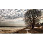 Casa si Gradina - Decoratiuni - Tablouri - Tablou canvas Peisaj 988, 20x30 cm - Infinity.ro