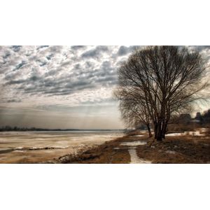 Casa si Gradina - Decoratiuni - Infinity.ro