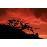 Casa si Gradina - Decoratiuni - Tablouri - Tablou canvas Peisaj 528, 20x30 cm - Infinity.ro