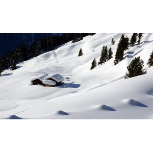 Casa si Gradina - Decoratiuni - Tablouri - Infinity.ro