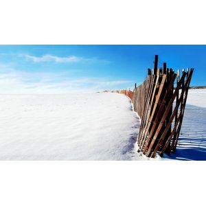 Casa si Gradina - Decoratiuni - Tablouri - Infinity.ro