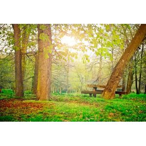 Casa si Gradina - Decoratiuni - Tablouri - Infinity.ro