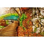 Casa si Gradina - Decoratiuni - Tablouri - Tablou canvas Peisaj 579, 20x30 cm - Infinity.ro