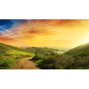 Casa si Gradina - Decoratiuni - Tablouri - Infinity.ro