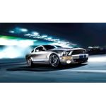 Casa si Gradina - Decoratiuni - Tablouri - Tablou canvas Auto model 260, 100x70 cm - Infinity.ro