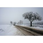 Casa si Gradina - Decoratiuni - Tablouri - Tablou canvas Peisaj 516, 100x70 cm - Infinity.ro