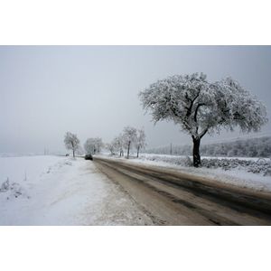 Casa si Gradina - Decoratiuni - Tablouri - Infinity.ro