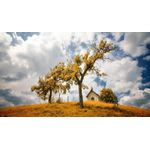 Casa si Gradina - Decoratiuni - Tablouri - Tablou canvas Peisaj 902, 50x90 cm - Infinity.ro