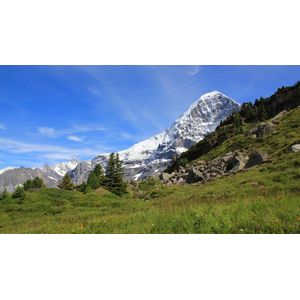 Casa si Gradina - Decoratiuni - Tablouri - Infinity.ro