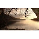 Casa si Gradina - Decoratiuni - Tablouri - Tablou canvas Peisaj 875, 50x90 cm - Infinity.ro