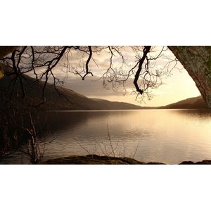 Casa si Gradina - Decoratiuni - Tablouri - Infinity.ro