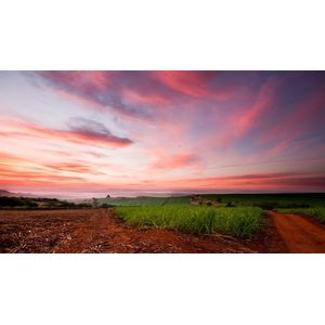 Casa si Gradina - Decoratiuni - Tablouri - Infinity.ro