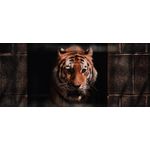 Casa si Gradina - Decoratiuni - Tablouri - Tablou canvas Animale model 594, 50x35 cm - Infinity.ro