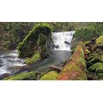 Casa si Gradina - Decoratiuni - Tablouri - Tablou canvas Peisaj 973, 20x30 cm - Infinity.ro