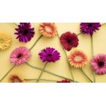 Casa si Gradina - Decoratiuni - Tablouri - Tablou canvas Natura cu Flori model 11, 90x50 cm - Infinity.ro