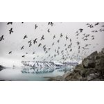 Casa si Gradina - Decoratiuni - Tablouri - Tablou canvas Peisaj 989, 20x30 cm - Infinity.ro