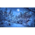 Casa si Gradina - Decoratiuni - Tablouri - Tablou canvas Peisaj 964, 50x90 cm - Infinity.ro