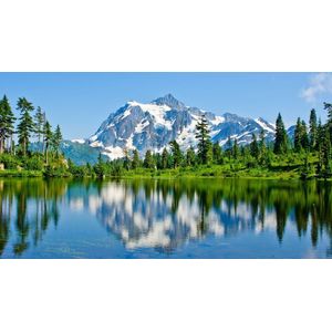 Casa si Gradina - Decoratiuni - Tablouri - Infinity.ro