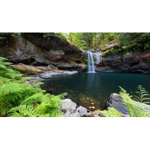 Casa si Gradina - Decoratiuni - Tablouri - Infinity.ro