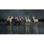 Casa si Gradina - Decoratiuni - Tablouri - Tablou canvas Animale model 545, 90x50 cm - Infinity.ro