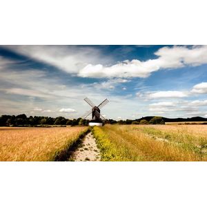 Casa si Gradina - Decoratiuni - Tablouri - Infinity.ro