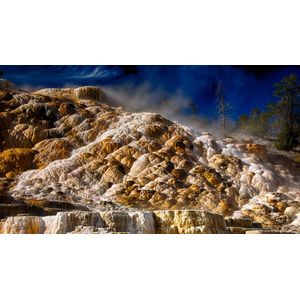 Casa si Gradina - Decoratiuni - Tablouri - Infinity.ro