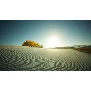 Casa si Gradina - Decoratiuni - Tablouri - Infinity.ro