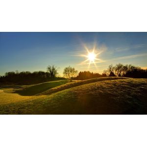 Casa si Gradina - Decoratiuni - Tablouri - Infinity.ro