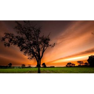 Casa si Gradina - Decoratiuni - Tablouri - Infinity.ro