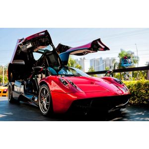 Casa si Gradina - Decoratiuni - Infinity.ro