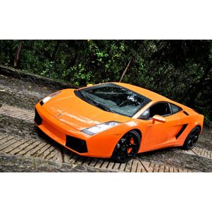 Casa si Gradina - Decoratiuni - Infinity.ro