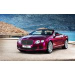 Casa si Gradina - Decoratiuni - Tablouri - Tablou canvas Auto model 229, 50x90 cm - Infinity.ro