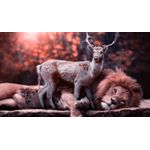 Casa si Gradina - Decoratiuni - Tablouri - Tablou canvas Animale model 389, 90x50 cm - Infinity.ro